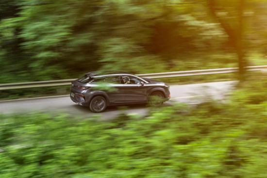 T��ʽ���б�̬��ְҵsf �ۼ�11.39��Ԫ